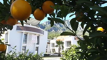 Apartmán Han-de Homes *